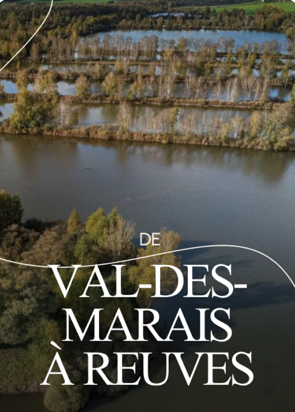 De Val-des-Marais à Reuves
